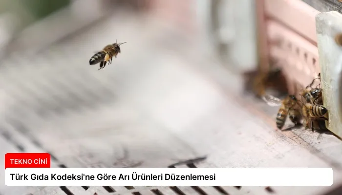 Türk Gıda Kodeksi’ne Göre Arı Ürünleri Düzenlemesi