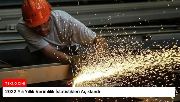 2022 Yılı Yıllık Verimlilik İstatistikleri Açıklandı