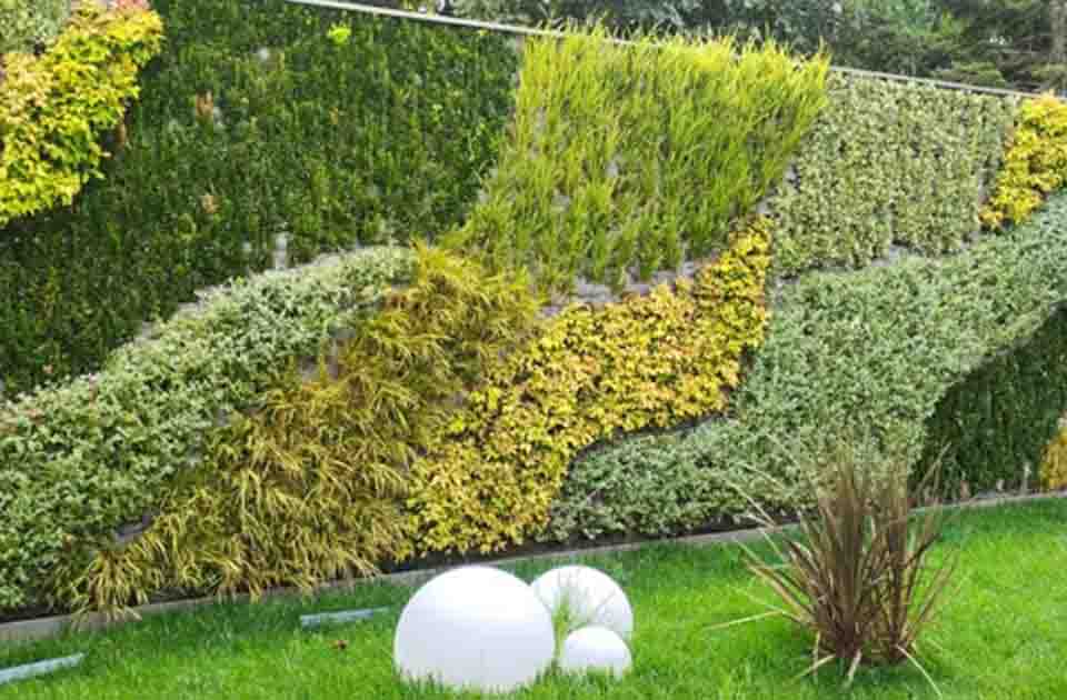 Dikey Bahçe Yaptırmak için 7 Neden