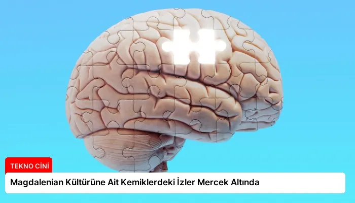 Magdalenian Kültürüne Ait Kemiklerdeki İzler Mercek Altında