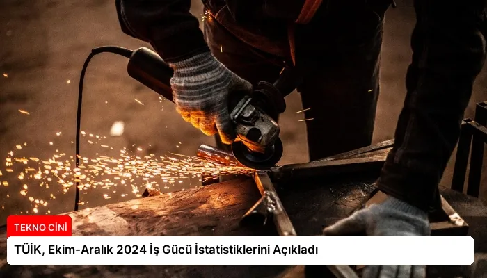 TÜİK, Ekim-Aralık 2024 İş Gücü İstatistiklerini Açıkladı