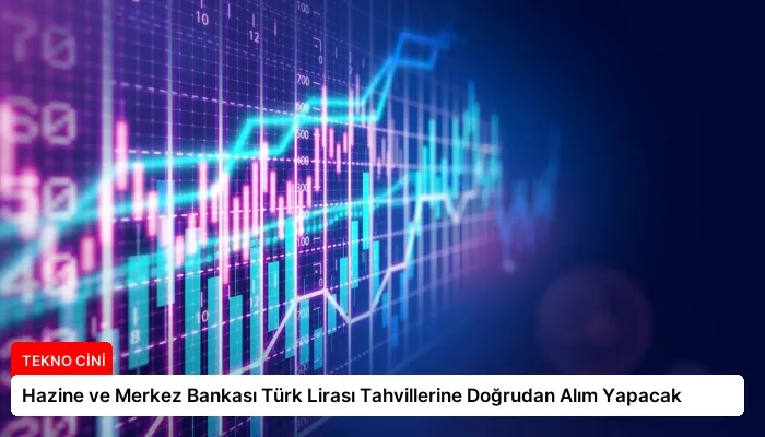 Hazine ve Merkez Bankası Türk Lirası Tahvillerine Doğrudan Alım Yapacak