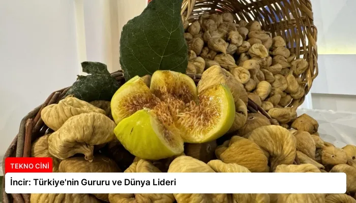 İncir: Türkiye’nin Gururu ve Dünya Lideri