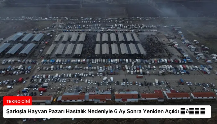 Şarkışla Hayvan Pazarı Hastalık Nedeniyle 6 Ay Sonra Yeniden Açıldı ⏬👇