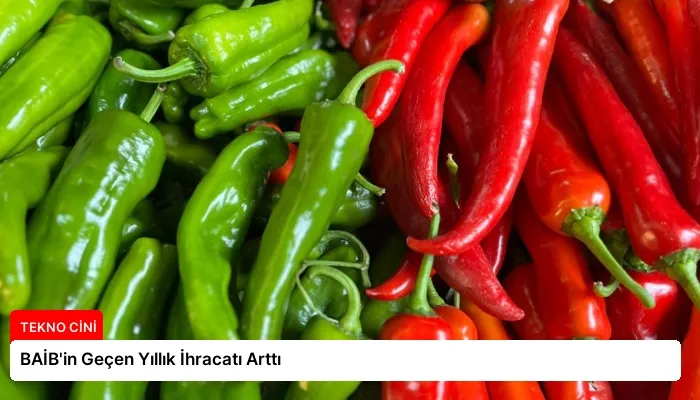 BAİB’in Geçen Yıllık İhracatı Arttı