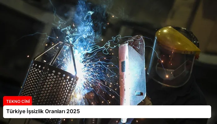 Türkiye İşsizlik Oranları 2025