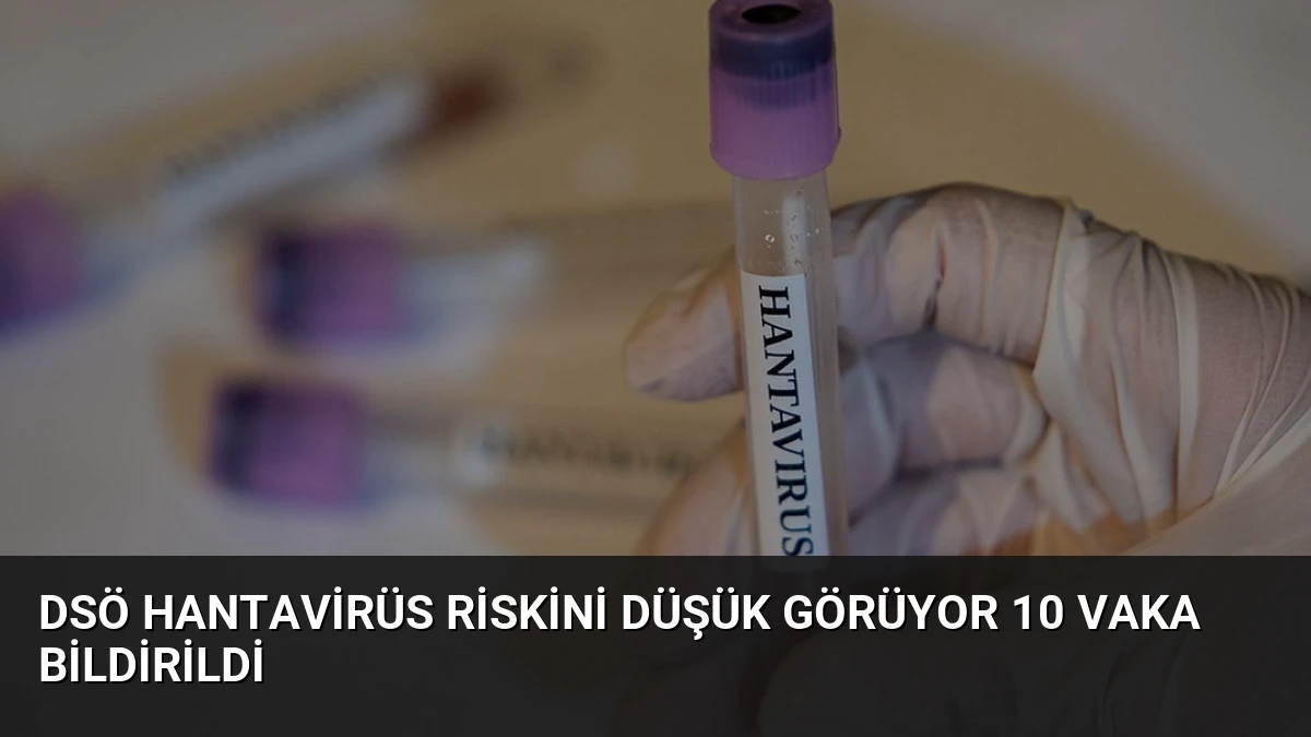 DSÖ Hantavirüs Riskini Düşük Görüyor 10 Vaka Bildirildi