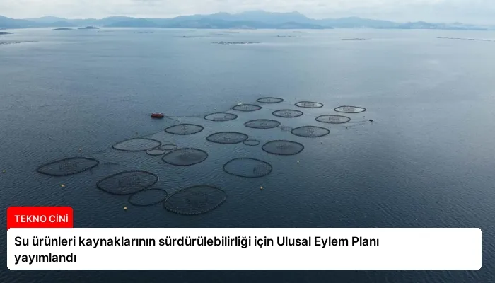Su ürünleri kaynaklarının sürdürülebilirliği için Ulusal Eylem Planı yayımlandı