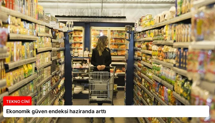 Ekonomik güven endeksi haziranda arttı