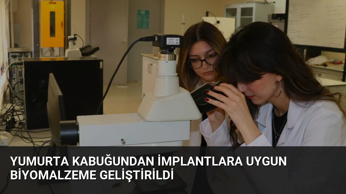 Yumurta Kabuğundan İmplantlara Uygun Biyomalzeme Geliştirildi