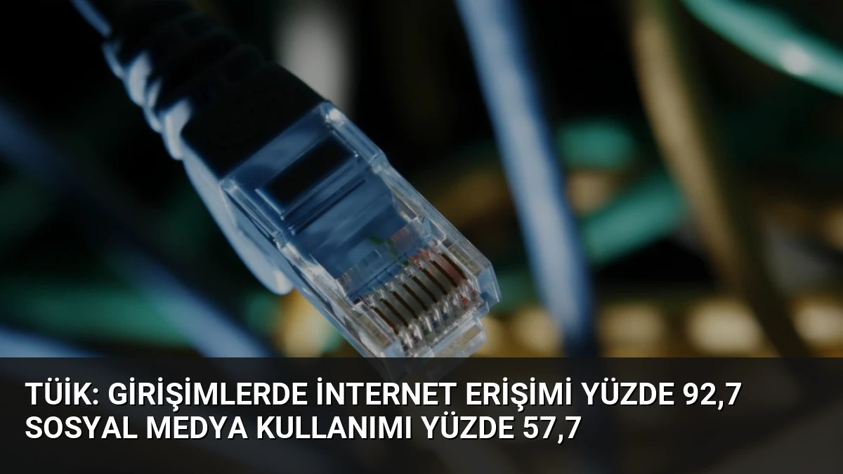 TÜİK: Girişimlerde İnternet Erişimi Yüzde 92,7 Sosyal Medya Kullanımı Yüzde 57,7
